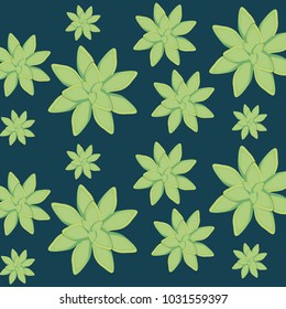 succulent plant seamless pattern