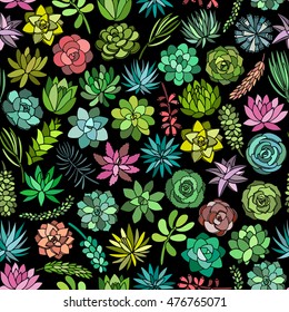 Succulent plant seamless pattern on black background