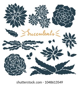 Succulent Plant Silhouette Set. Vector Succulent Flower Isolated On White Background. Doodle Garden Plants Collection