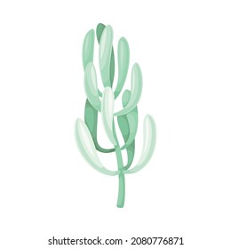Succulent plant. Trendy home, office decor vector illustration