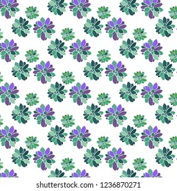Succulent plant vectors