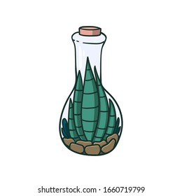 Succulent plants in a bottle doodle style hand drawn concept illustration for logo, label, stamp, sticker. 