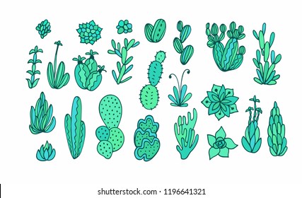 Succulent plants collection - seamless vector border ornament