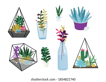 Succulent plants. Garden flowers, terrariums and floral bouquet in glass bottle pot. Seasonal house greens vector set