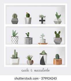 Succulent plants growing in cute pot. Scandinavian style. Hand drawn textures. For your design, mood boards and posters. Gray background. Stock vector.