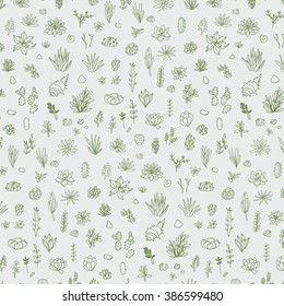 succulent plants outline pattern