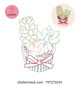 Succulent Plants in the pot. Colouring book. Flowers in the desert. I like Succulents.