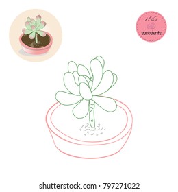 Succulent Plants in the pot. Colouring book. Flowers in the desert. I like Succulents.