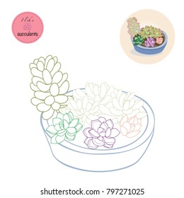 Succulent Plants in the pot. Colouring book. Flowers in the desert. I like Succulents.