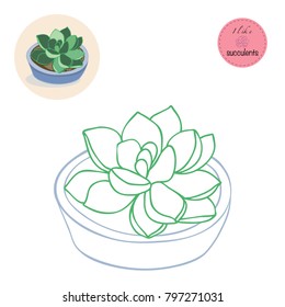 Succulent Plants in the pot. Colouring book. Flowers in the desert. I like Succulents.