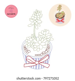 Succulent Plants in the pot. Colouring book. Flowers in the desert. I like Succulents.