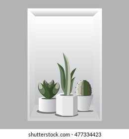 Succulent plants in pot. Scandinavian style, for your design. Gray background. 
