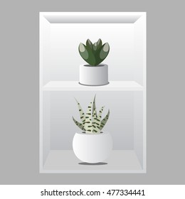 Succulent plants in pot. Scandinavian style, for your design. Gray background. 