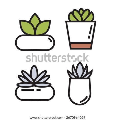 The succulent plants in pots, drawn in a simple bold-line style