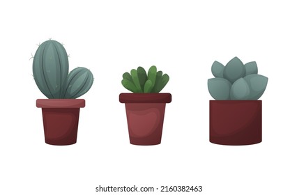Succulent plants in pots. Set of hand drawn succulents growing in cute little pots vector illustration. Vector illustration