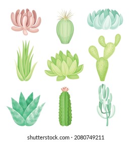 Succulent plants set. Scandinavian style home or office decor vector illustration