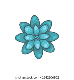 Succulent plants vector icons in cartoon style. Home cacti isolated on white background.