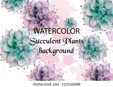 Succulent plants watercolor. Tropic exotic pattern Vector. Exotic summer background illustrations