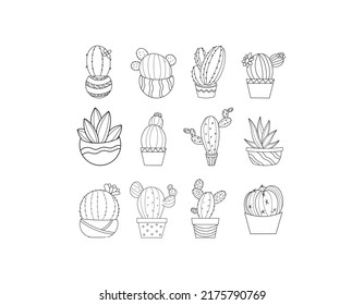 succulent in pot drawing black and white