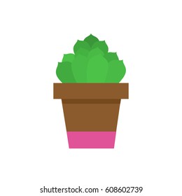 Succulent in pot. Flat design. Icon for web.