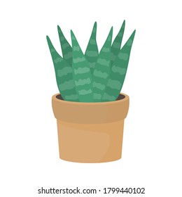 Succulent in pot flat illustration.  House plant vector art. 