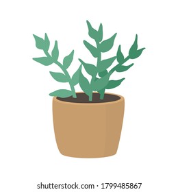 Succulent in pot flat illustration.  House plant vector art. 