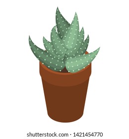Succulent pot icon. Isometric of succulent pot vector icon for web design isolated on white background