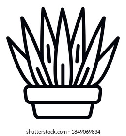 Succulent pot icon. Outline succulent pot vector icon for web design isolated on white background
