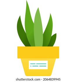 Succulent in pot icon. Vector flower. Isolated plant on white background. Green garden flowerpot for home or office design interior. Potted houseplant. Aloe foliage in ceramic vase