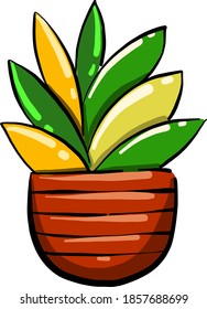 Succulent in a pot, illustration, vector on white background