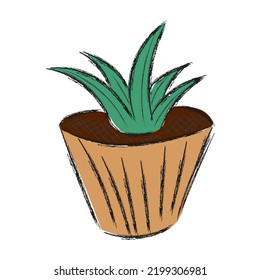 Succulent in a pot for interior decor at home or office. Vector illustration sketch isolated on white background. Trendy home decor with plant