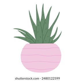 Succulent in pot isolated on white background. Interior plant with fleshy leaves growing in planter. Colored flat vector illustration of houseplant