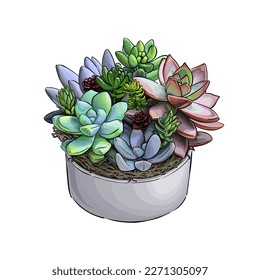 Suculento en una olla de pinturas multicolores. Esplandor de acuarela, dibujo de color, realista. Ilustración vectorial de pinturas