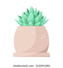 A succulent in a pot on a white background. Cartoon design. Vector illustration.
