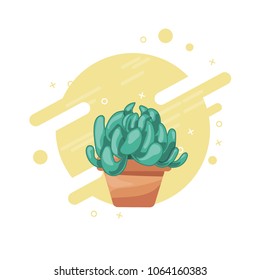 Succulent in pot plant concept vector illustration