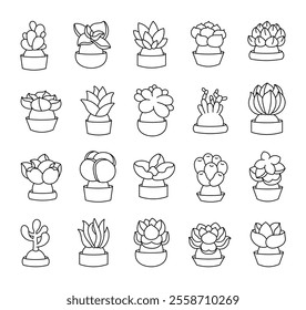 Succulent pot plant set with botanical outline illustration and organic decorative design for indoor home decor, natural gardening, floral arrangement, and horticulture clipart elements