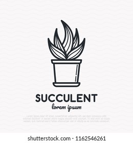 Succulent in pot. Thin line icon. Modern vector illustration of houseplant.