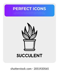 Succulent in pot. Thin line icon. Modern vector illustration of houseplant.