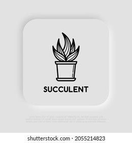 Succulent in pot. Thin line icon. Modern vector illustration of houseplant.