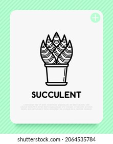 Succulent in pot. Thin line icon. Modern vector illustration of houseplant.