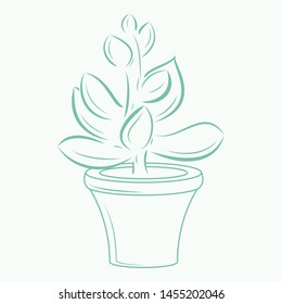 Succulent in a pot vector sketch, logo, icon, postcard.