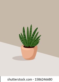 Succulent potted plant on a pastel colored background postcard. Abstract design hygge banner. Cactus potted succulent plant postcard. Cozy lagom scandinavian style image