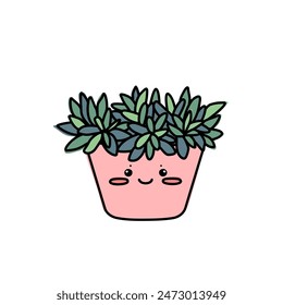 Succulent rocks kawaii flower in pot with face. Funny houseplant with eyes vector
