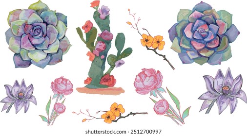 Roseta suculenta Echeveria Cactus Peony Flor definir mão desenho aquarela clip arte vetor pintura colorida casamento botânica arte rosas flor buquê