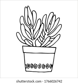 succulent in a round pot, hand drawn, vector illustration, doodle, sketch, isolated, black and white