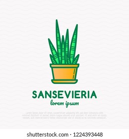 Succulent Sansevieria in pot thin line icon. Modern vector illustration of home plant.