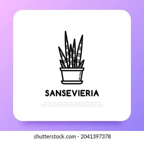 Succulent Sansevieria in pot thin line icon. Modern vector illustration of home plant.