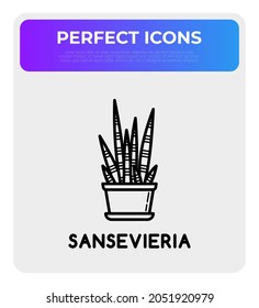 Succulent Sansevieria in pot thin line icon. Modern vector illustration of home plant.