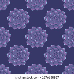 succulent seamless doodle pattern, vector illustration
