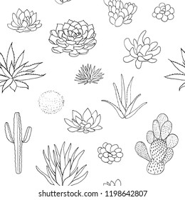 Succulent seamless pattern, hand drawn vector illustration. outline sketch chalk style